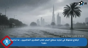 ارتفاع ملحوظ في حرارة سطح البحر خلال العقدين الماضيين.. ما تداعيات ذلك؟